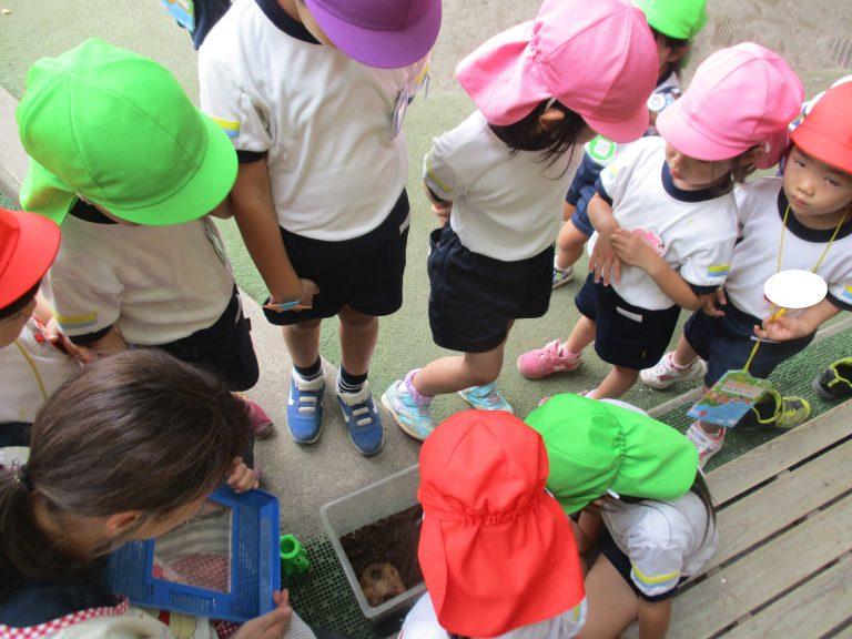 ７月　夏の風物詩がやってきました！